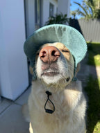 Hairy dog Corduroy cap