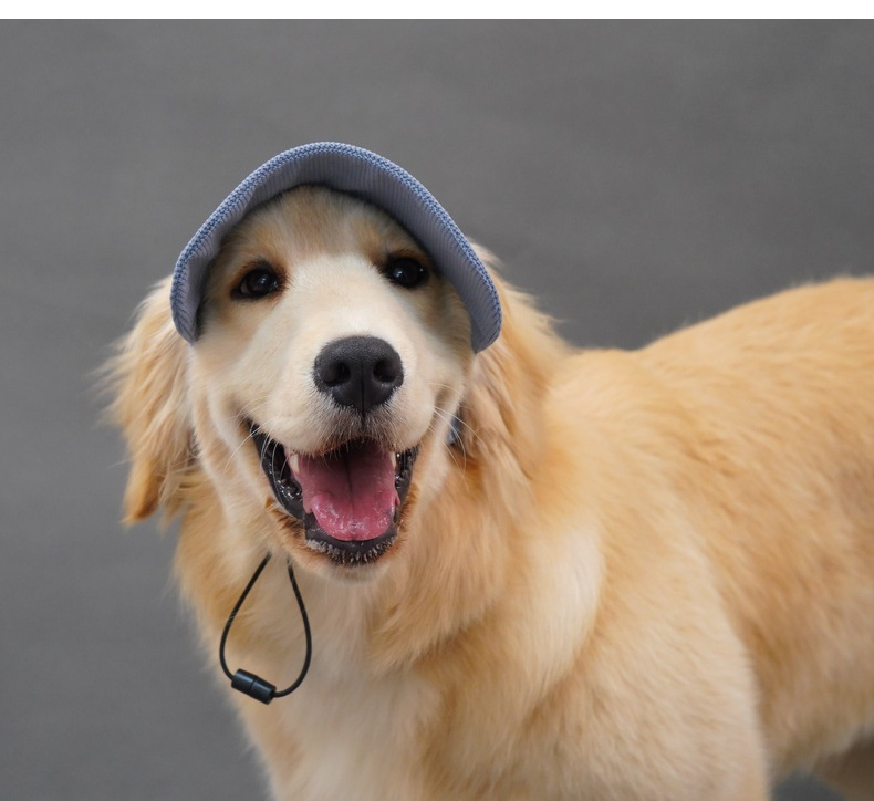 Hairy dog Corduroy cap