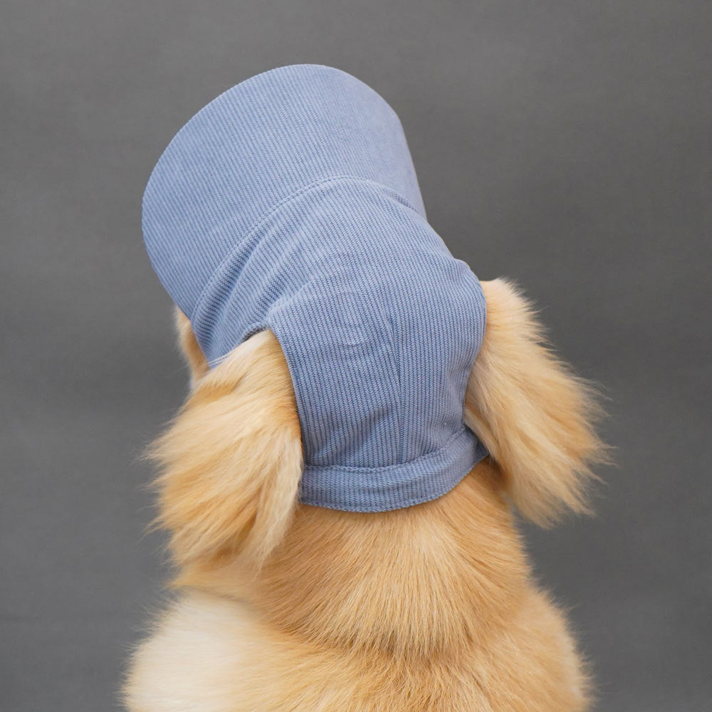 Hairy dog Corduroy cap